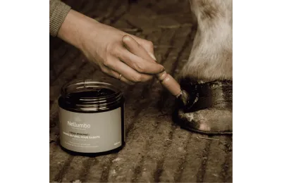 Pack descubrimiento de cuidados naturales para caballos &ndash; Rutina completa de bienestar y recuperaci&oacute;n - Nellumbo