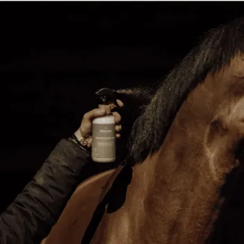 Pack soins cheval naturels | Merlin&Cie