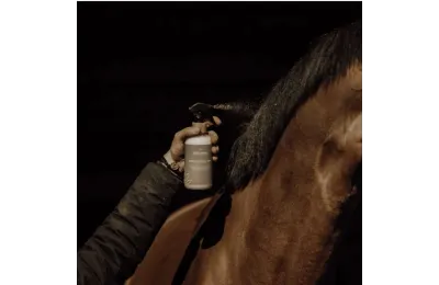 Entdecker-Pflegeset f&uuml;r Pferde &ndash; Nat&uuml;rliche Komplett-Routine f&uuml;r Wohlbefinden & Regeneration - Nellumbo