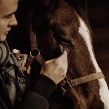 Pack soins cheval naturels | Merlin&Cie