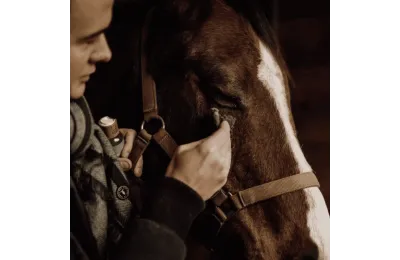 Ontdekkingspakket natuurlijke verzorging voor paarden &ndash; Complete welzijns- en herstelroutine - Nellumbo