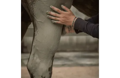 Discovery Pack of Natural Horse Care &ndash; Complete Wellness & Recovery Routine - Nellumbo