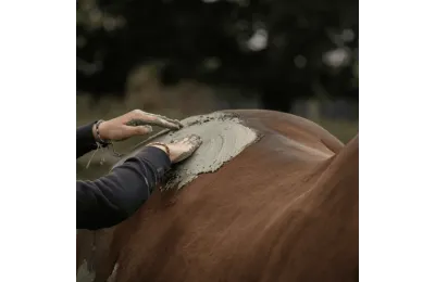 Ontdekkingspakket natuurlijke verzorging voor paarden &ndash; Complete welzijns- en herstelroutine - Nellumbo