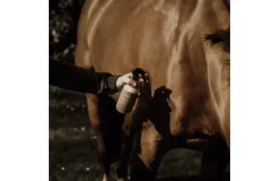 Ontdekkingspakket natuurlijke verzorging voor paarden &ndash; Complete welzijns- en herstelroutine - Nellumbo