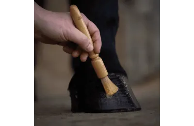 Ontdekkingspakket natuurlijke verzorging voor paarden &ndash; Complete welzijns- en herstelroutine - Nellumbo