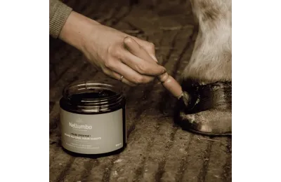 Ontdekkingspakket natuurlijke verzorging voor paarden &ndash; Complete welzijns- en herstelroutine - Nellumbo