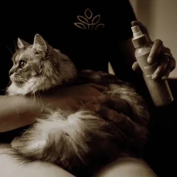 Coffret bien-&ecirc;tre chat naturel | Merlin&Cie