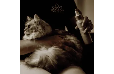 Cofre de bienestar para gatos &ndash; Limpieza suave y brillo natural - Nellumbo