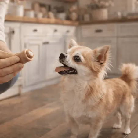 Snack gourmet per cani &ndash; Wraps di pollo e anatra (x3)