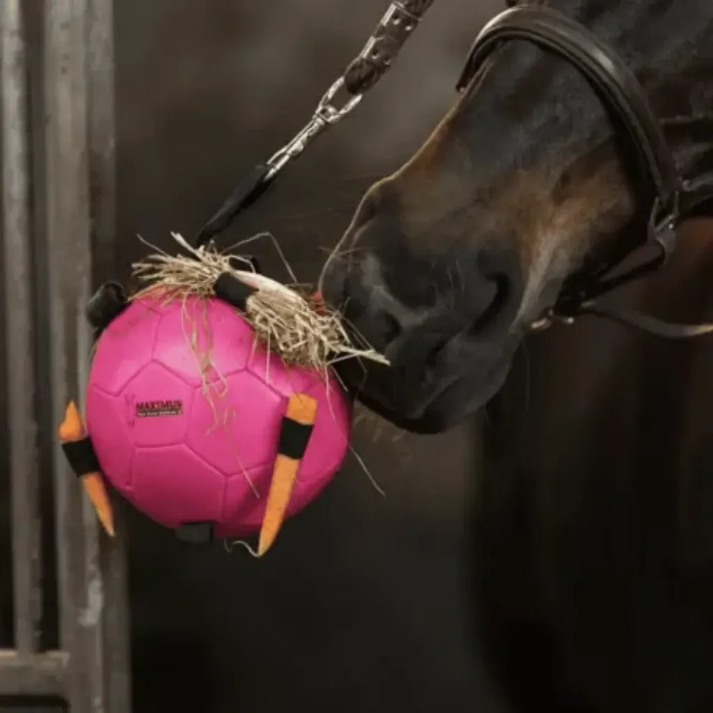 Pferdespielzeug &ndash; Besch&auml;ftigungsball Rosa - Excellent Horse