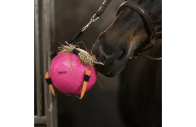 Horse Activity Ball with Fill Options | Hangable Pink Toy | Excellent Horse