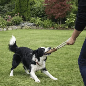 Jouet naturel pour chiens - manchette en daim avec corde - Funny Zoo