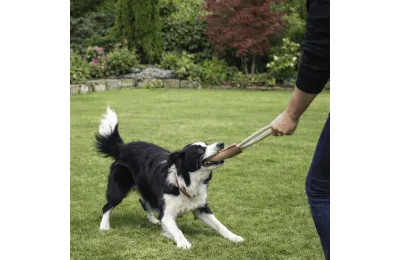 Nat&uuml;rliches Hundespielzeug &ndash; Manschette aus Wildleder mit Seil - Funny Zoo