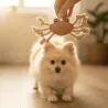 Jouet naturel pour petits chiens PETIT CRABE