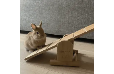 Rabbit Toy &ndash; Wooden Agility Wobble Board