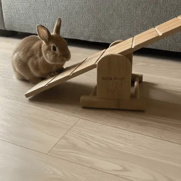Juguete para conejos &ndash; Tabla de equilibrio Agility de madera - Hami Form