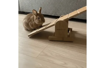 Juguete para conejos &ndash; Tabla de equilibrio Agility de madera - Hami Form