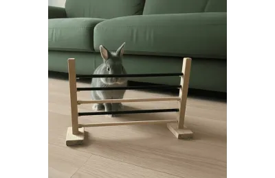 Haie d&rsquo;agility modulable pour lapin &ndash; Jeu d&rsquo;exercice et de stimulation - Hamiform