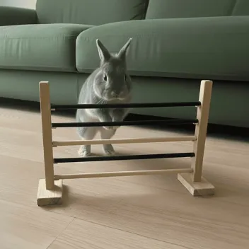 Valla de agility modular para conejos – Juego de ejercicio y estimulación - Hamiform