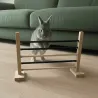 Haie d&rsquo;agility modulable pour lapin &ndash; Jeu d&rsquo;exercice et de stimulation
