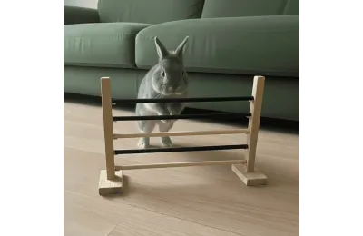 Modular Agility Hurdle for Rabbits &ndash; Exercise & Enrichment Toy - Hamiform