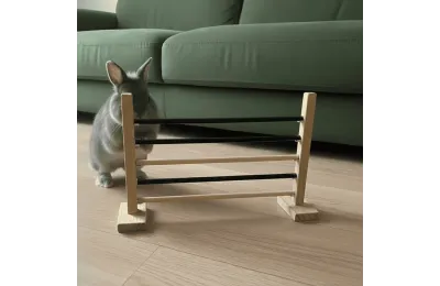 Modular Agility Hurdle for Rabbits &ndash; Exercise & Enrichment Toy - Hamiform