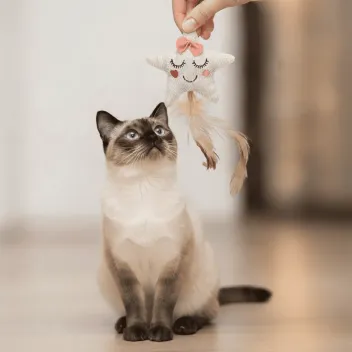 Jouet pour chat Etoile beige et plumes