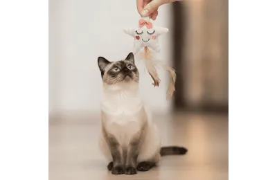 Juguete para gatos &ndash; Estrella de tela con hierba gatera y plumas - Flamingo