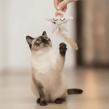 Gioco per gatti &ndash; Stella in tessuto con erba gatta e piume