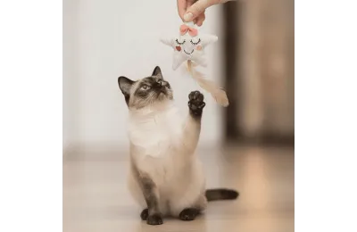 Spielzeug f&uuml;r Katzen &ndash; Stern aus Stoff mit Katzenminze und Federn