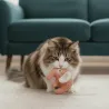 Jouet pour chat Elephant rouge