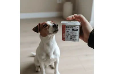 Educatie Mini &ndash; Trainingssnacks voor honden (170 g) - Hamiform