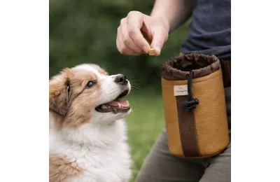 Dog Treat Pouch &ndash; Premium Training Pouch with Drawstring