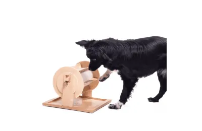 Jeu d&rsquo;intelligence pour chiens et chats - Distributeur de friandises