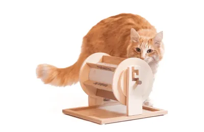 Intelligence Game for Dogs and Cats &ndash; Treat Dispenser - My Intelligent Dog