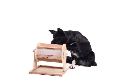 Gioco di intelligenza per cani e gatti &ndash; distributore di snack - My Intelligent Dog