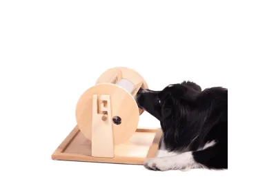 Intelligence Game for Dogs and Cats &ndash; Treat Dispenser - My Intelligent Dog