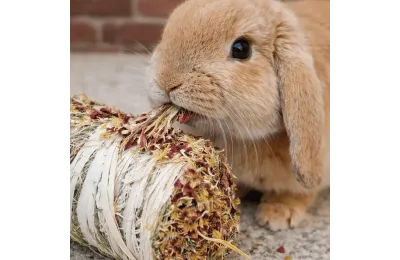 Natural treat &ndash; hay roll with flowers - Flamingo