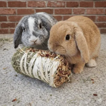 Natural treat – hay roll with flowers