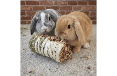 Natuurlijke snack &ndash; hooirol met bloemen