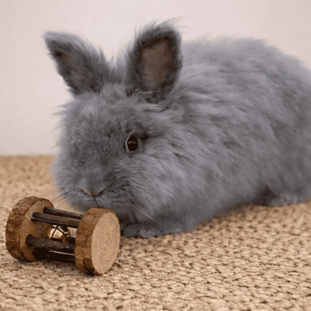 Natural bark wood roller toy with bell &ndash; for rabbits and small rodents