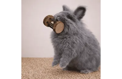 Natural bark wood roller toy with bell &ndash; for rabbits and small rodents - Flamingo