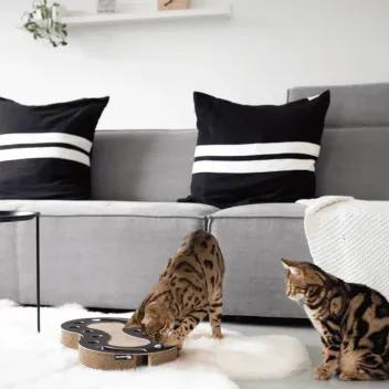 Ballfangspiel und Kratzbrett f&uuml;r Katzen &ndash; Wellenform (Schwarz oder Wei&szlig;) - District 70