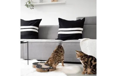 Ballfangspiel und Kratzbrett f&uuml;r Katzen &ndash; Wellenform (Schwarz oder Wei&szlig;) - District 70