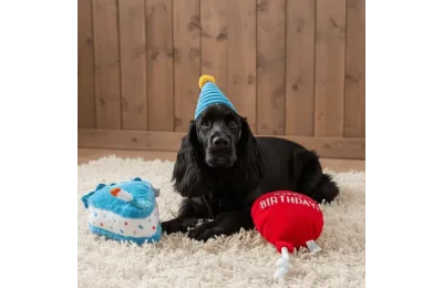 Kleines Geburtstagsgeschenkset f&uuml;r Hunde &ndash; Set mit 3 Spielzeugen - ZippyPaw
