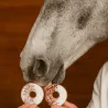 Anti-Gaspi: Donut-Duo mit Hagebuttenbl&uuml;ten & Isl&auml;ndisch Moos f&uuml;r Pferde