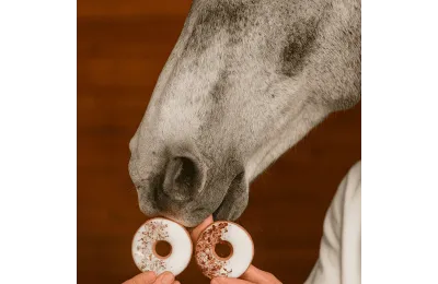 Anti-Gaspi: Donut-Duo mit Hagebuttenbl&uuml;ten & Isl&auml;ndisch Moos f&uuml;r Pferde