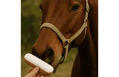 Anti-Spreco: Biscotto Gourmet per Cavalli &ndash; &Eacute;clair al Cocco con Glassa & Erbe