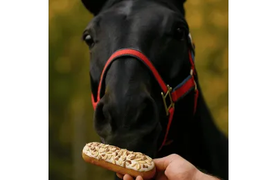 Anti-Gaspi : Biscuit Gourmand pour Chevaux &ndash; &Eacute;clair M&eacute;lange de Graines avec Gla&ccedil;age & Herbes
