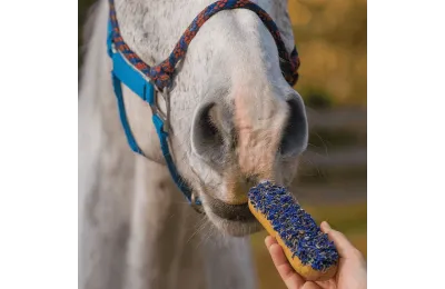 Anti-Gaspi : Biscuit Gourmand pour Chevaux &ndash; &Eacute;clair Bleuet avec Gla&ccedil;age & Herbes